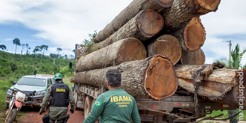 Ibama: Grupo vai fiscalizar fraudes em sistemas de controle florestal