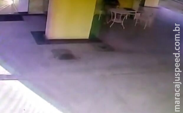 Menina relata estupros do pai, mas mãe duvida e dá surra no Jóquei Clube 