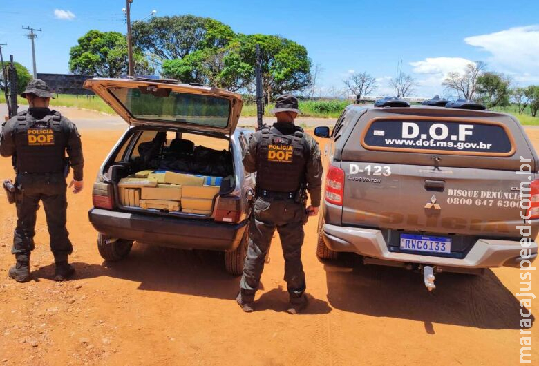 Motorista de 18 anos é preso com maconha avaliada em R$ 800 mil Motorista de 18 anos é preso com maconha avaliada em R$ 800 mil
