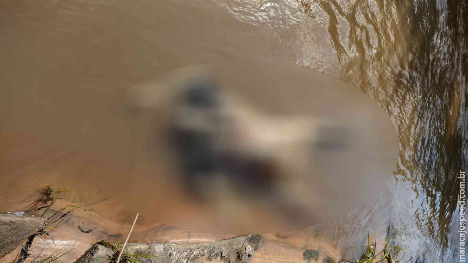 Pescador encontra corpo de homem nu boiando no Rio Aquidauana