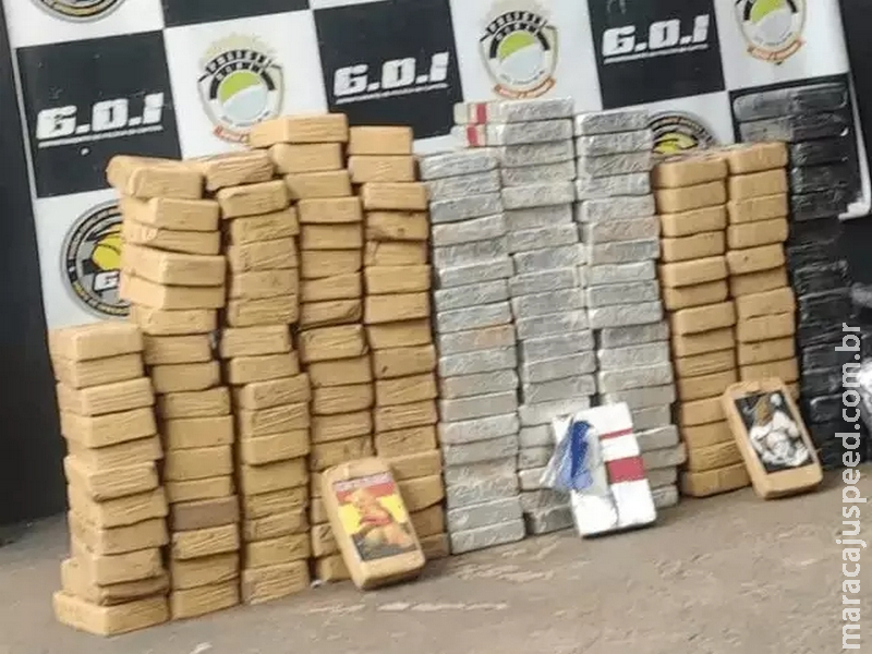 Polícia apreende 229 kg de entorpecentes no Ramez Tebet