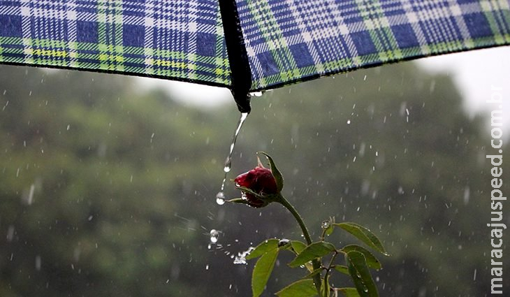 Segunda segue com temperaturas altas e pancadas de chuva em diferentes regiões