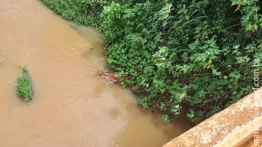 Trabalhadores encontram corpo em decomposição dentro de córrego Trabalhadores encontram corpo em decomposição dentro de córrego