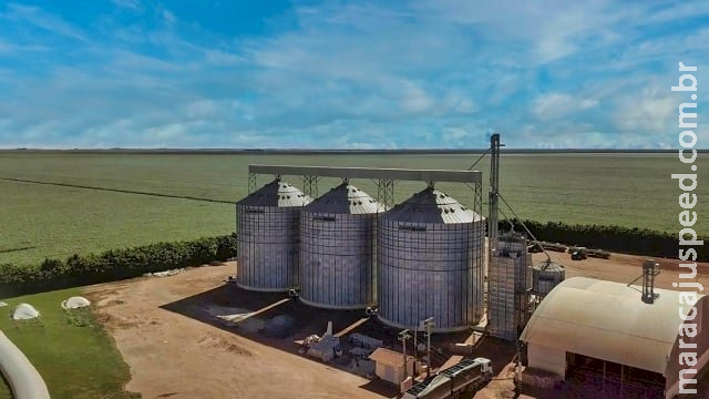 Três trabalhadores rurais morrem ao cair em silos de soja Três trabalhadores rurais morrem ao cair em silos de soja
