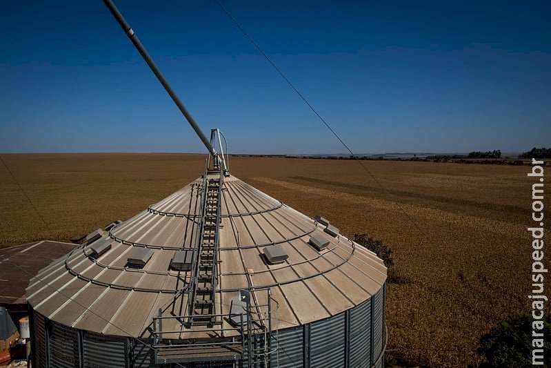 Acidente com silo mata agricultor de 43 anos