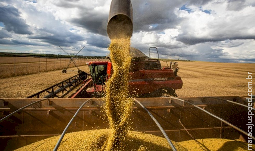 Agronegócio no Brasil dá salto em 20 anos e hoje equivale ao PIB da Argentina Agronegócio no Brasil dá salto em 20 anos e hoje equivale ao PIB da Argentina
