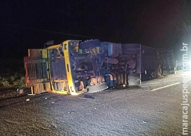 Carreta que transportava touros tomba e vários ficam feridos em Amambai