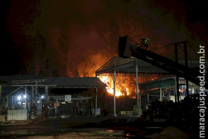 Chile confirma 13 mortes causadas por incêndios florestais