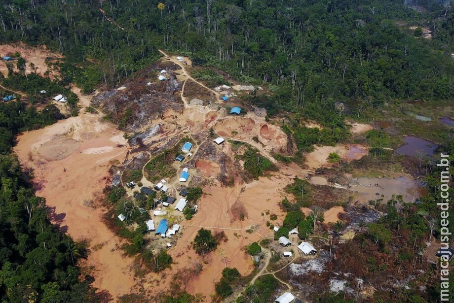 Emergência na terra yanomami completa um mês sem transparência e com casa de saúde lotada