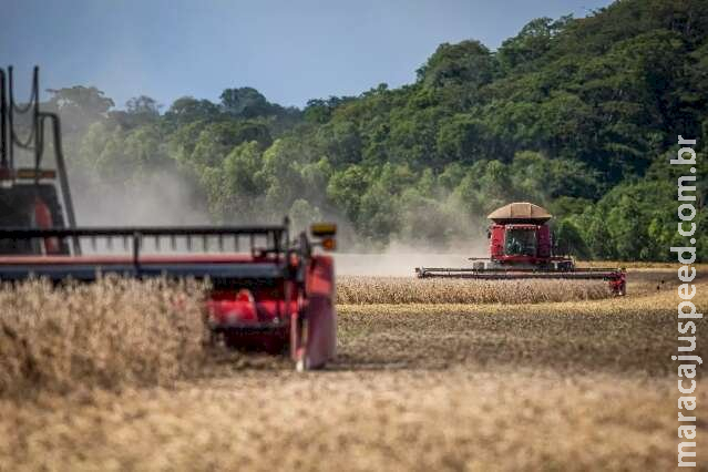 Excesso de chuvas afeta colheita da soja e atrasa plantio do milho Excesso de chuvas afeta colheita da soja e atrasa plantio do milho