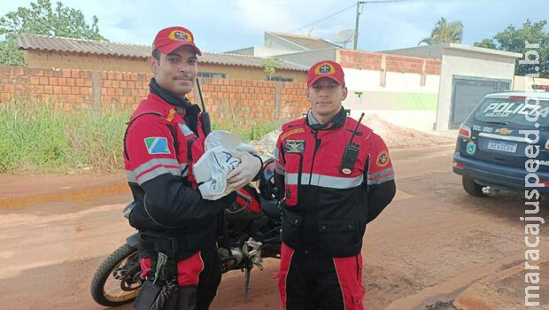 Grupo pede doações para recém-nascido encontrado sozinho no Aero Rancho