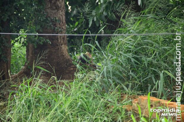 Homem entra vivo e aparece morto em terreno no Jardim Leblon