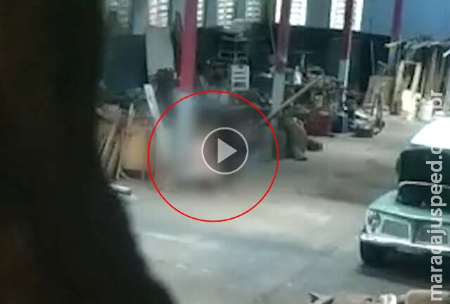 Homem que praticava zoofilia com cadela é indiciado por maus-tratos