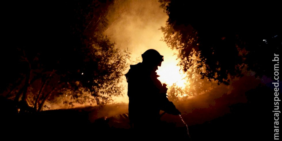 Incêndios consomem mais de 750 hectares de florestas no Chile Incêndios consomem mais de 750 hectares de florestas no Chile