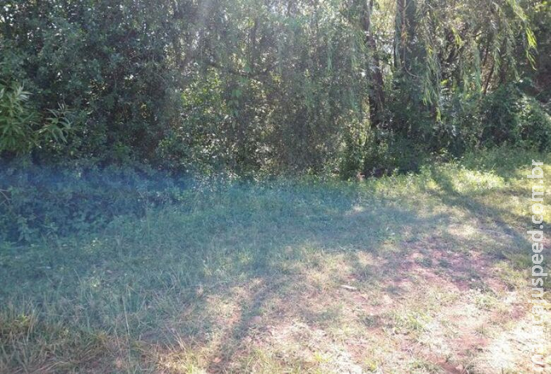 Indígena de MS que trabalhava na colheita de maçã no RS é assassinado Indígena de MS que trabalhava na colheita de maçã no RS é assassinado