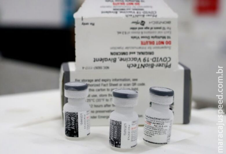 MS recebe hoje 209 mil doses da vacina bivalente contra covid MS recebe hoje 209 mil doses da vacina bivalente contra covid
