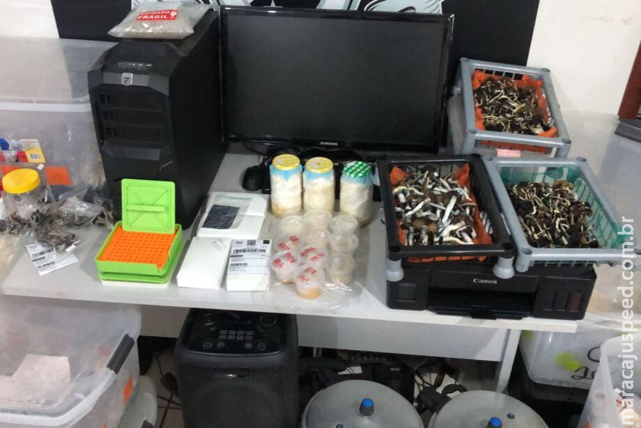 Policia prende dupla que cultivava cogumelos com psicodélicos no Tiradentes, em Campo Grande