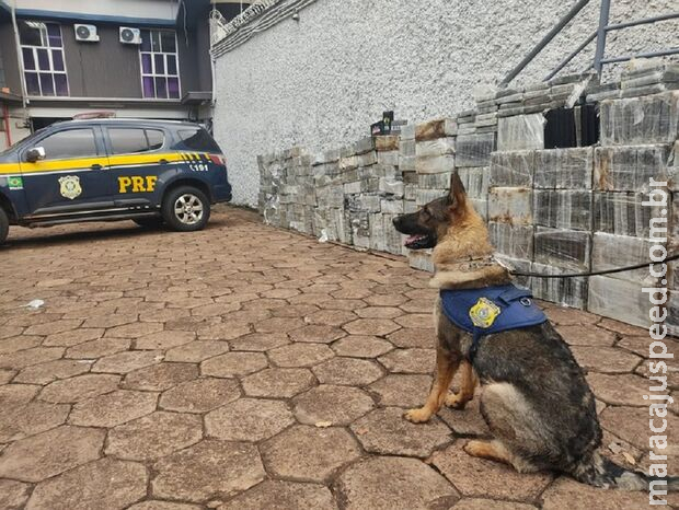 PRF apreende mais de 1,8 toneladas de cocaína em Sidrolândia