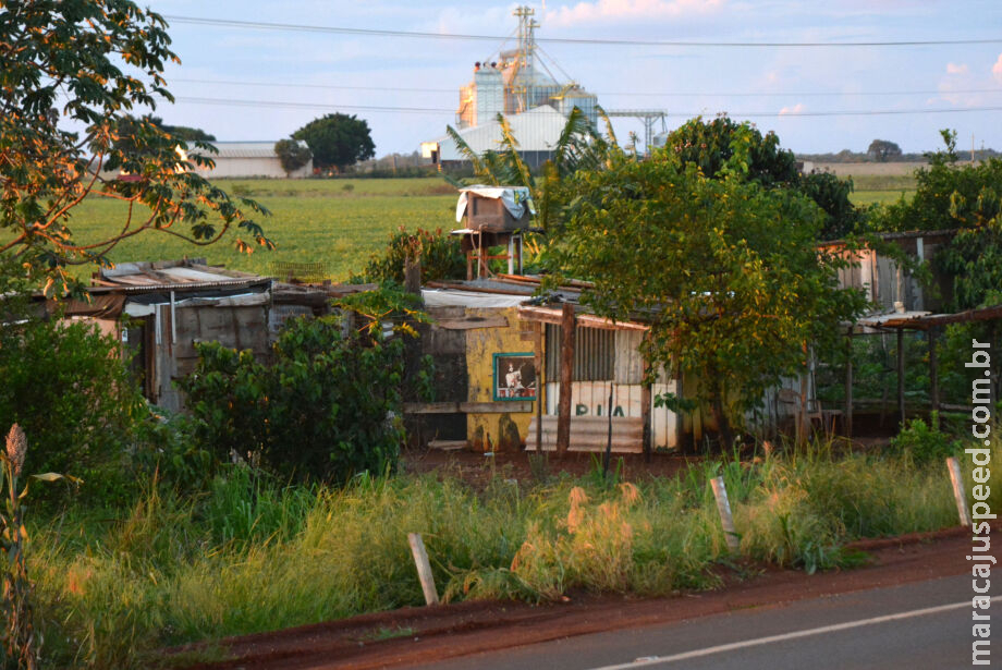 Sem-terra voltam a invadir fazendas e acampamentos se multiplicam em MS Sem-terra voltam a invadir fazendas e acampamentos se multiplicam em MS