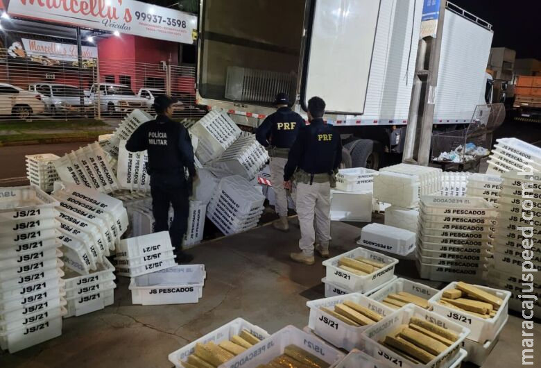 Ação conjunta apreende maconha e prende motorista de caminhão baú