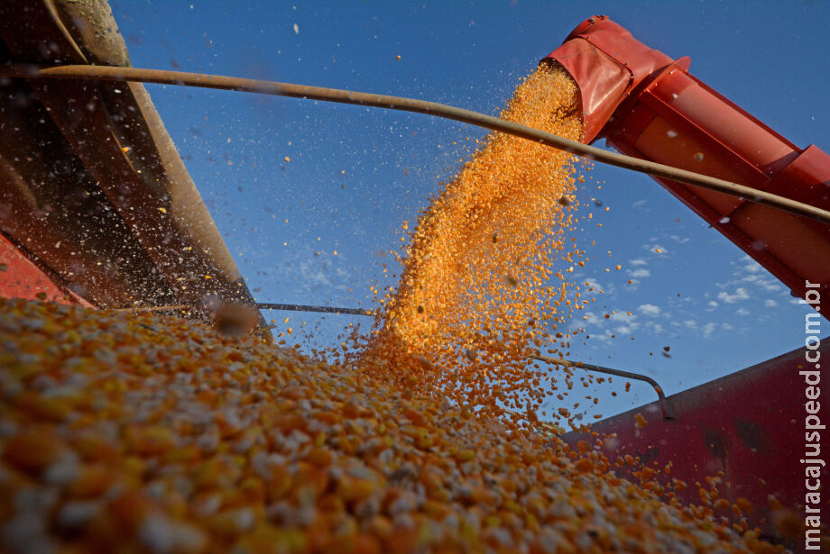 Agro e serviços resistem à proposta de reforma tributária debatida no Congresso