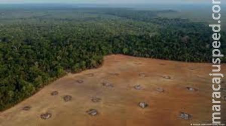 Amazônia tem pior fevereiro em nove anos; governo Lula precisa dar respostas, dizem ambientalistas 