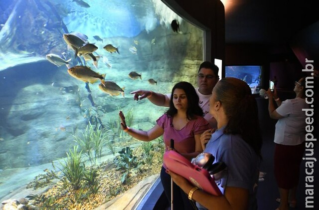 Audiodescrição e experiência tátil garantem visita de pessoas cegas ao Bioparque Audiodescrição e experiência tátil garantem visita de pessoas cegas ao Bioparque