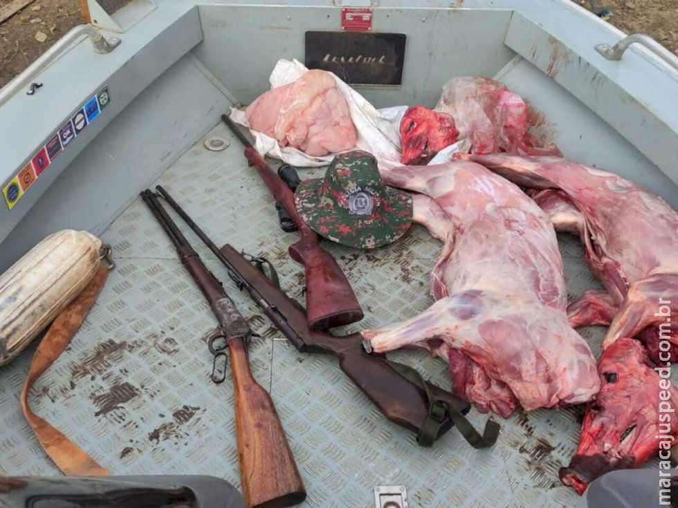 Caçadores são presos com rifles, queixadas e jacaré abatidos em MS