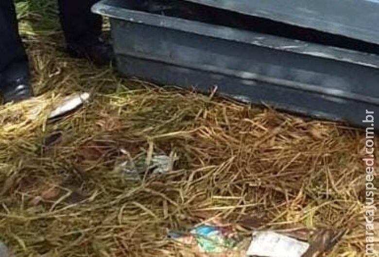 Catador de recicláveis é encontrado morto com sinais de espancamento Catador de recicláveis é encontrado morto com sinais de espancamento