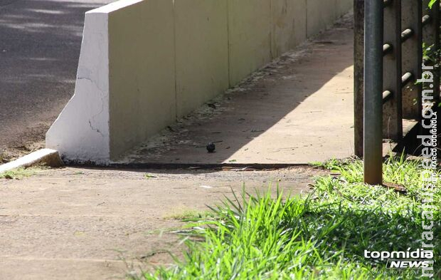 Explosivo é encontrado em ponte e mobiliza Bope, em Campo Grande