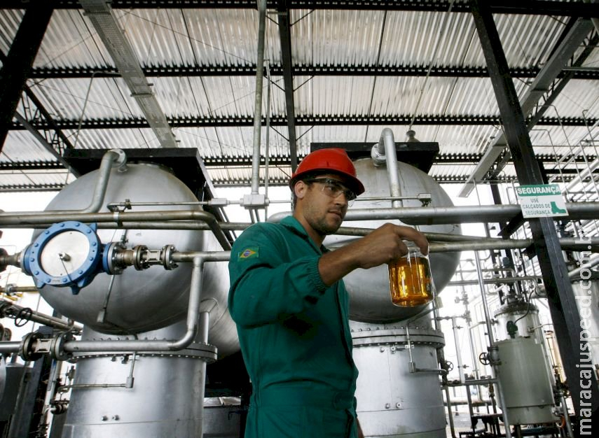 Governo decide aumentar para 12% mistura obrigatória de biodiesel no diesel 