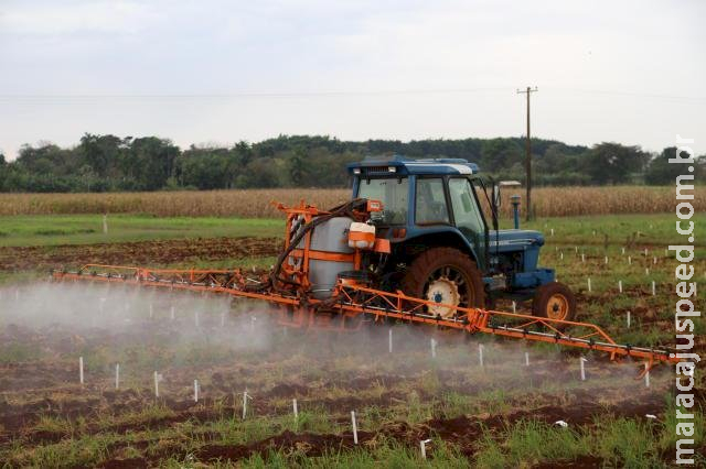 Ibama multa fazendeiro que provocou intoxicação de alunos