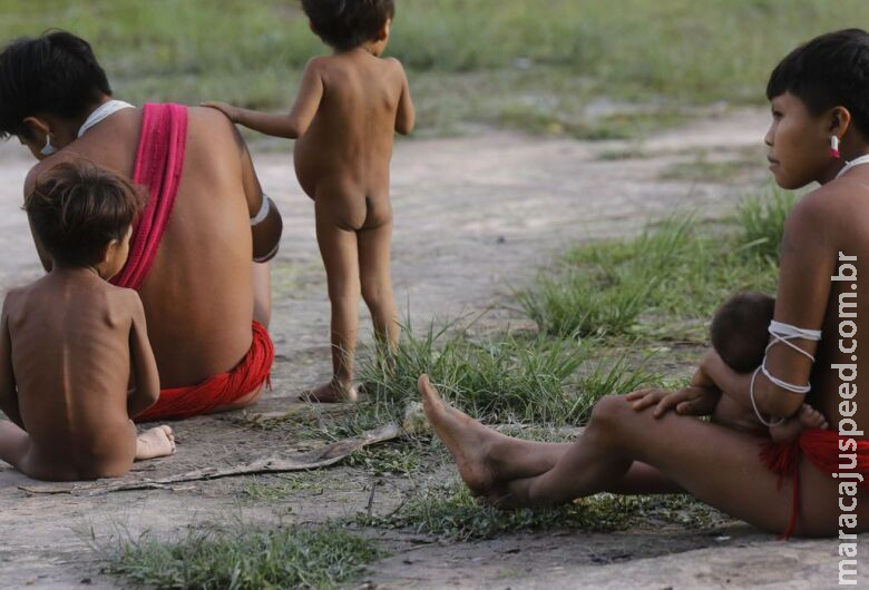 IBGE inicia última etapa do Censo 2022 na Terra Indígena Yanomami IBGE inicia última etapa do Censo 2022 na Terra Indígena Yanomami