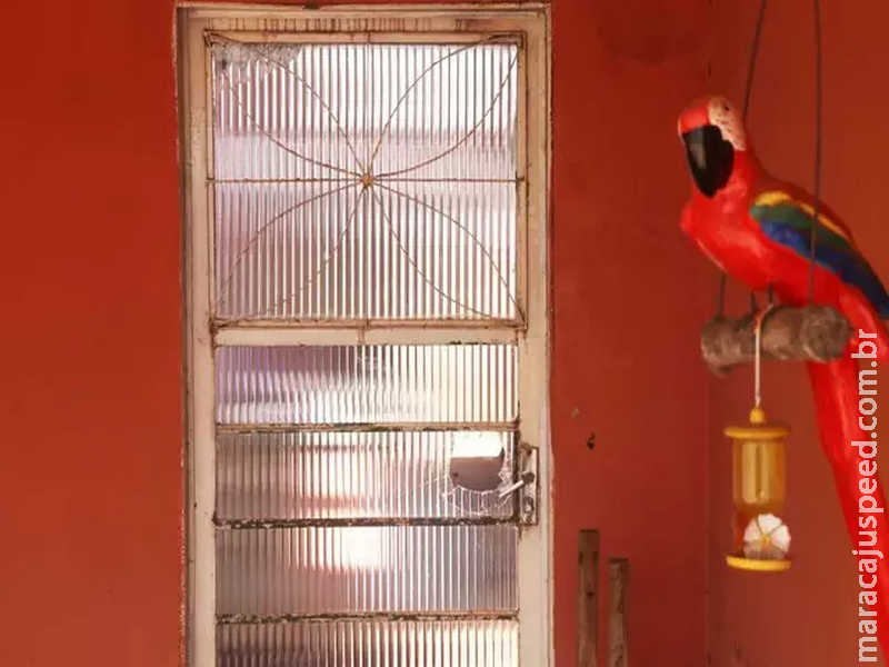 Idosa resgatada de casa sem água e comida é monitorada por assistentes sociais