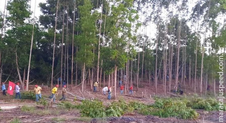 Incra não tem recurso para indenizar Suzano e negociação com MST empaca Incra não tem recurso para indenizar Suzano e negociação com MST empaca