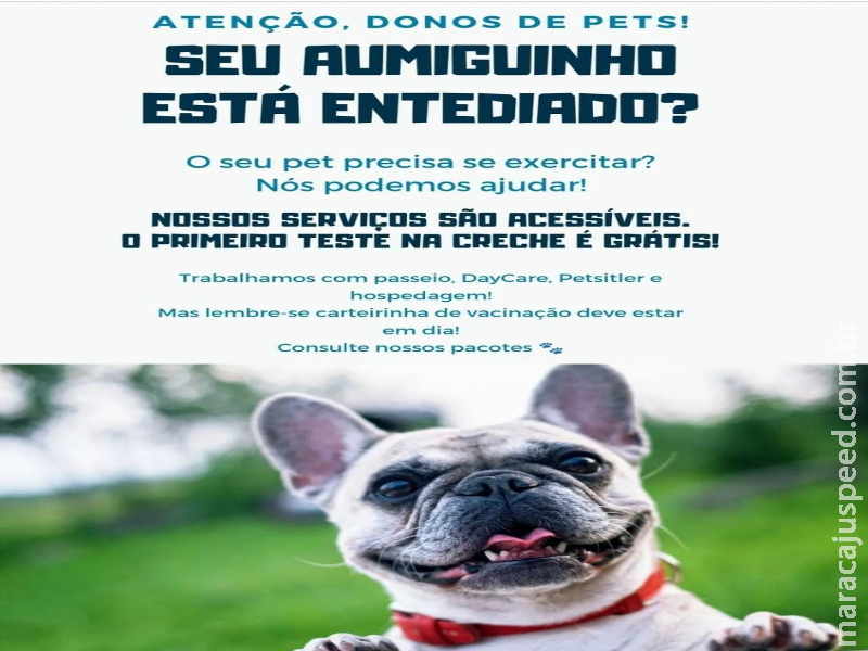Maracaju conta com uma super novidade para seu queridinho Pet, a “Dog Walker Pet Rolê” Maracaju conta com uma super novidade para seu queridinho Pet, a “Dog Walker Pet Rolê”