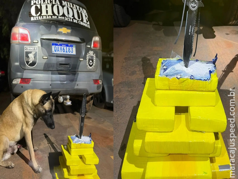 Passageira de ônibus é presa em Campo Grande com quase R$ 1 milhão em cocaína