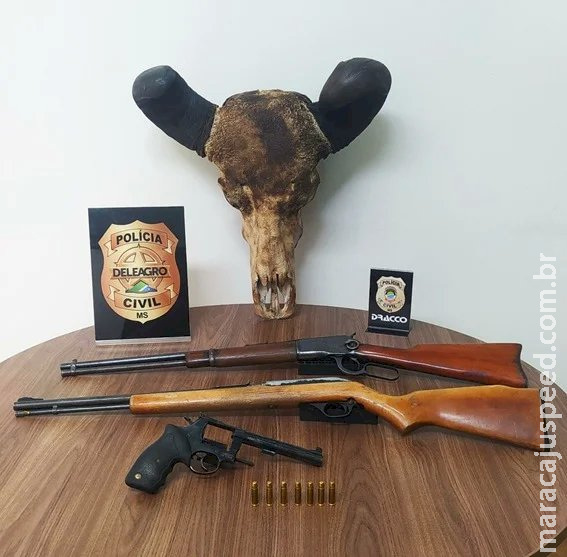 Polícia Civil apreende armas ilegais e prende o autor em flagrante