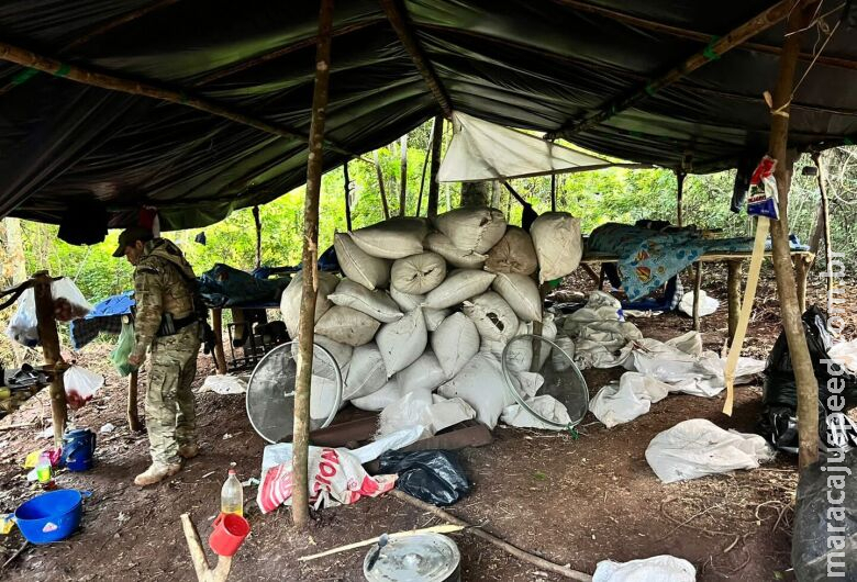 Polícia desmonta acampamento do tráfico com mais de 8t de maconha picada Polícia desmonta acampamento do tráfico com mais de 8t de maconha picada