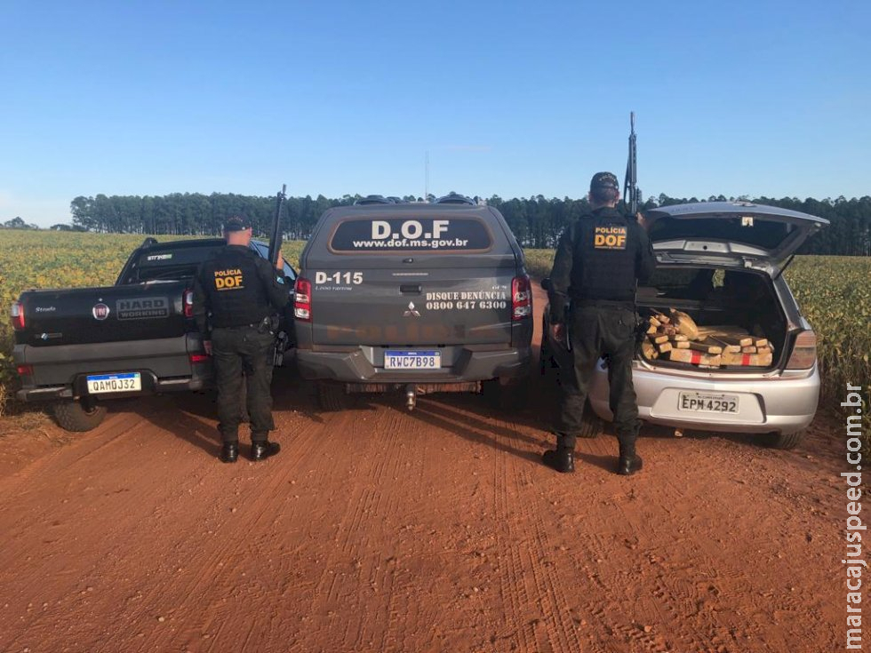 Veículo com quase 300 quilos de drogas foi apreendido pelo DOF Veículo com quase 300 quilos de drogas foi apreendido pelo DOF