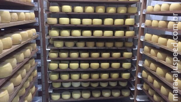 6ª edição da Festa do Queijo acontece em maio em Rochedinho