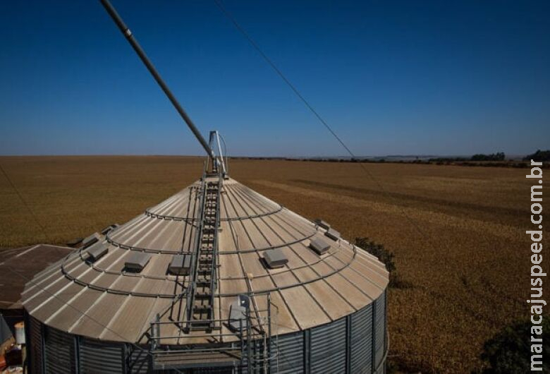 Brasil tem déficit de 115 milhões de toneladas em armazenagem Brasil tem déficit de 115 milhões de toneladas em armazenagem