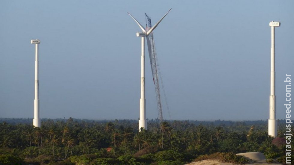 Capacidade de geração de energia eólica deve bater recorde neste ano