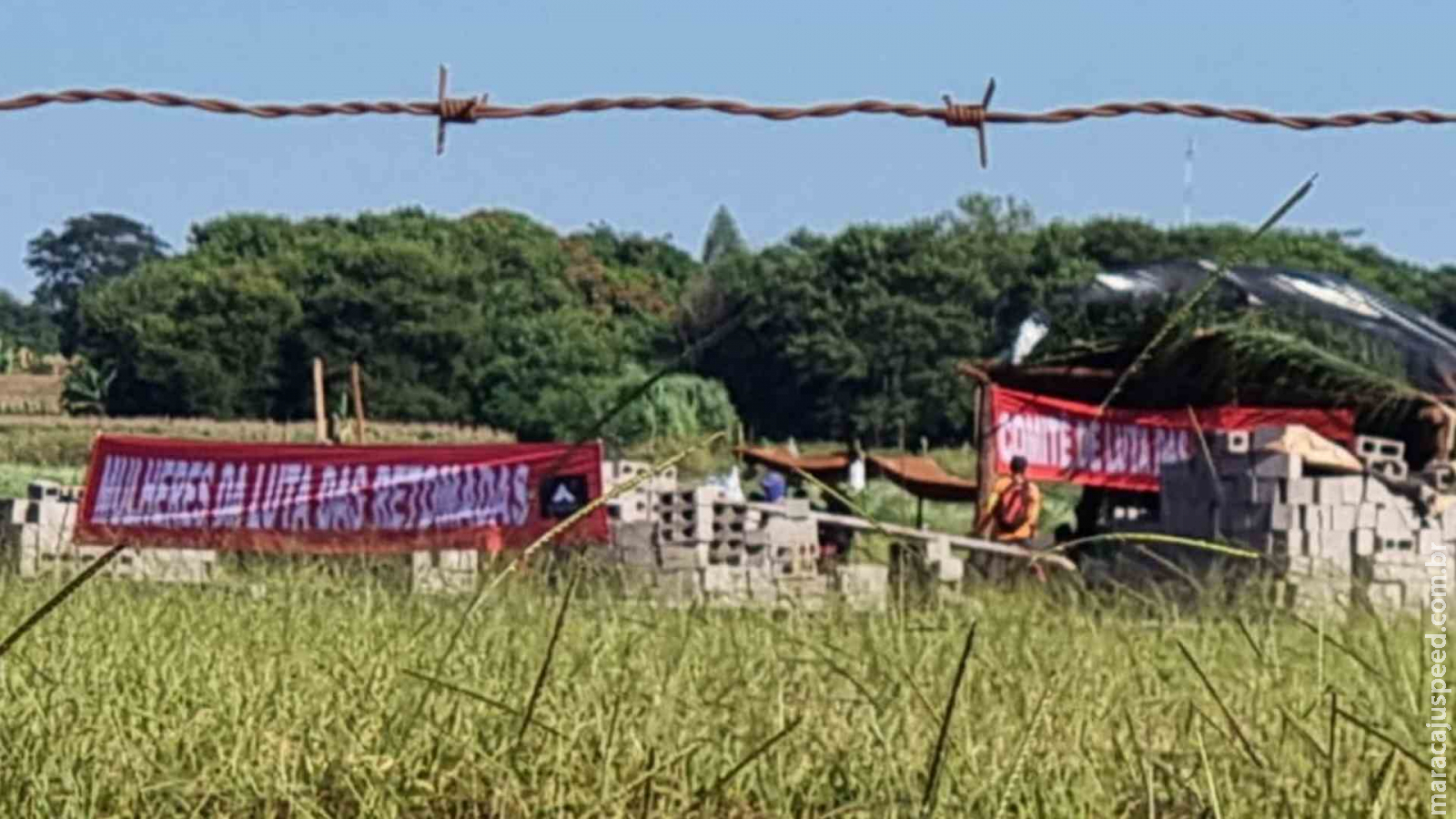 Conselho aponta abusos e pede investigação contra Sejusp-MS após despejos e prisão de indígenas