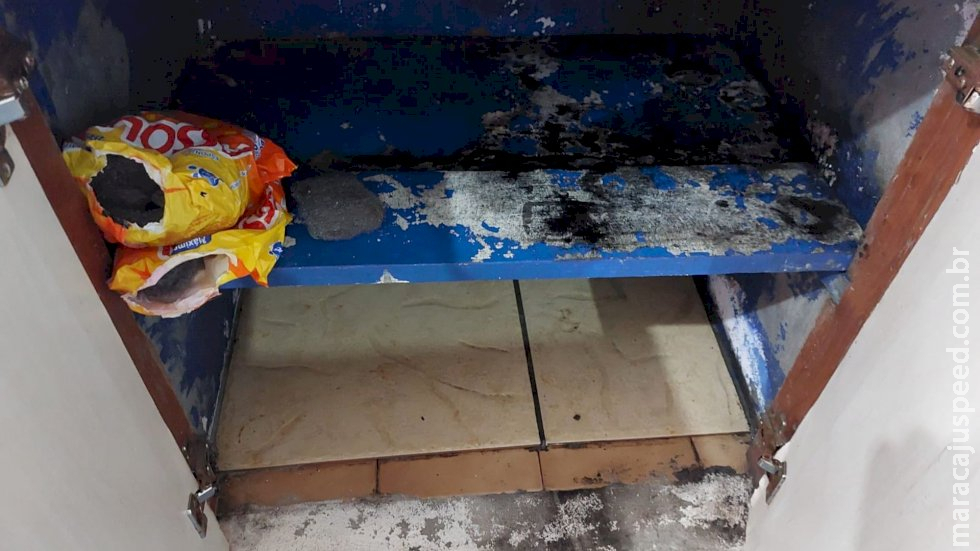 De banheiro sem porta a fossa com larvas, TCE encontra irregularidades em escolas de MS