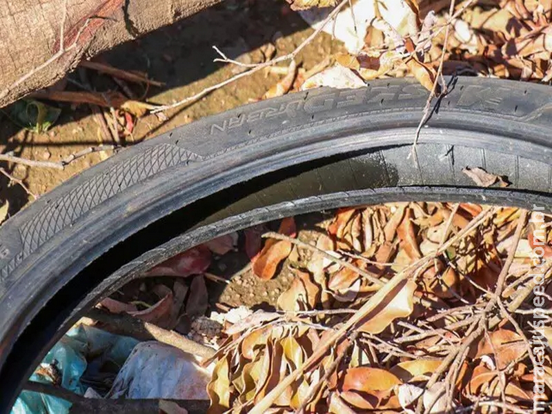 Estado confirma mais quatro mortes por dengue no mês de abril