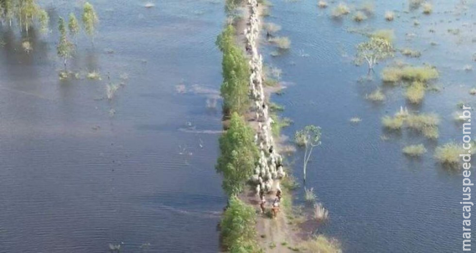 Hidrelétrica é alvo do MP por abrir comportas e causar inundações em fazendas