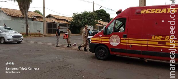 Ladrão tenta roubar telhas e toma tiro na perna em Campo Grande Ladrão tenta roubar telhas e toma tiro na perna em Campo Grande