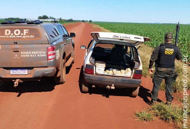 Maconha que seria vendida em Dourados é apreendida em estrada vicinal Maconha que seria vendida em Dourados é apreendida em estrada vicinal