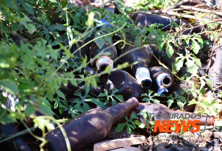 Número de mortes por dengue em MS chega a 17 em semana com mais de 3 mil notificações